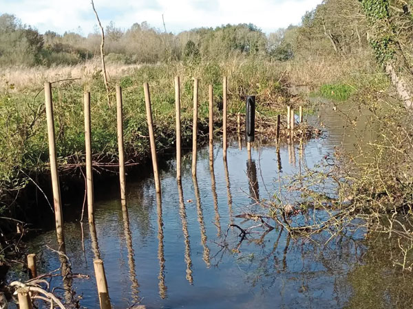Creating a Meander
