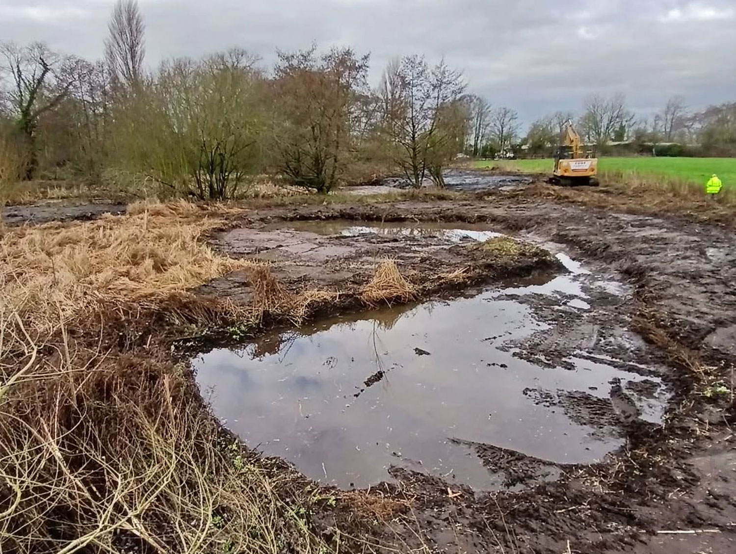 Two Partially Renovated Ponds and Two New Scrapes