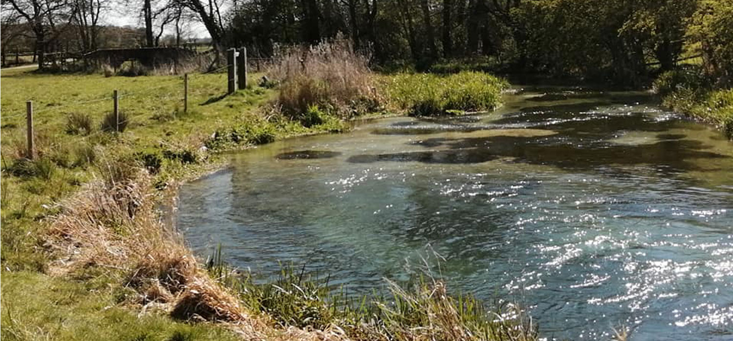 Stream